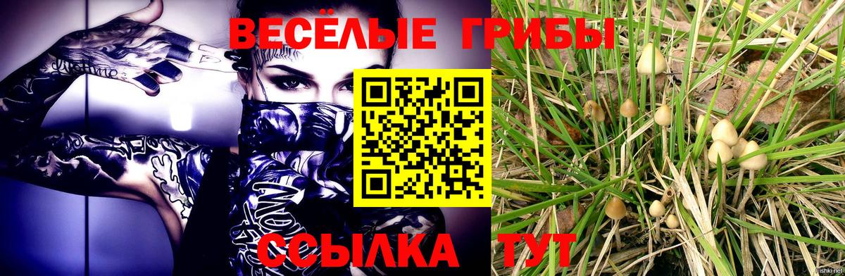 Галлюциногенные грибы мухоморы  Вход с VPN  Муравленко 